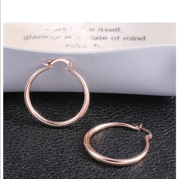 New Rose Gold Hoop Earrings for Women - Picture 5 of 6